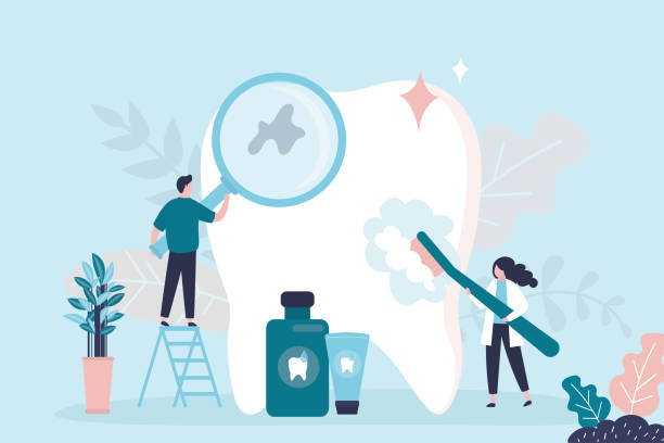 Best Preventive Dentistry  in Dauphin Island, AL
